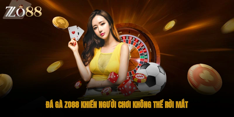 Đá Gà ZO88 khiến người chơi không thể rời mắt